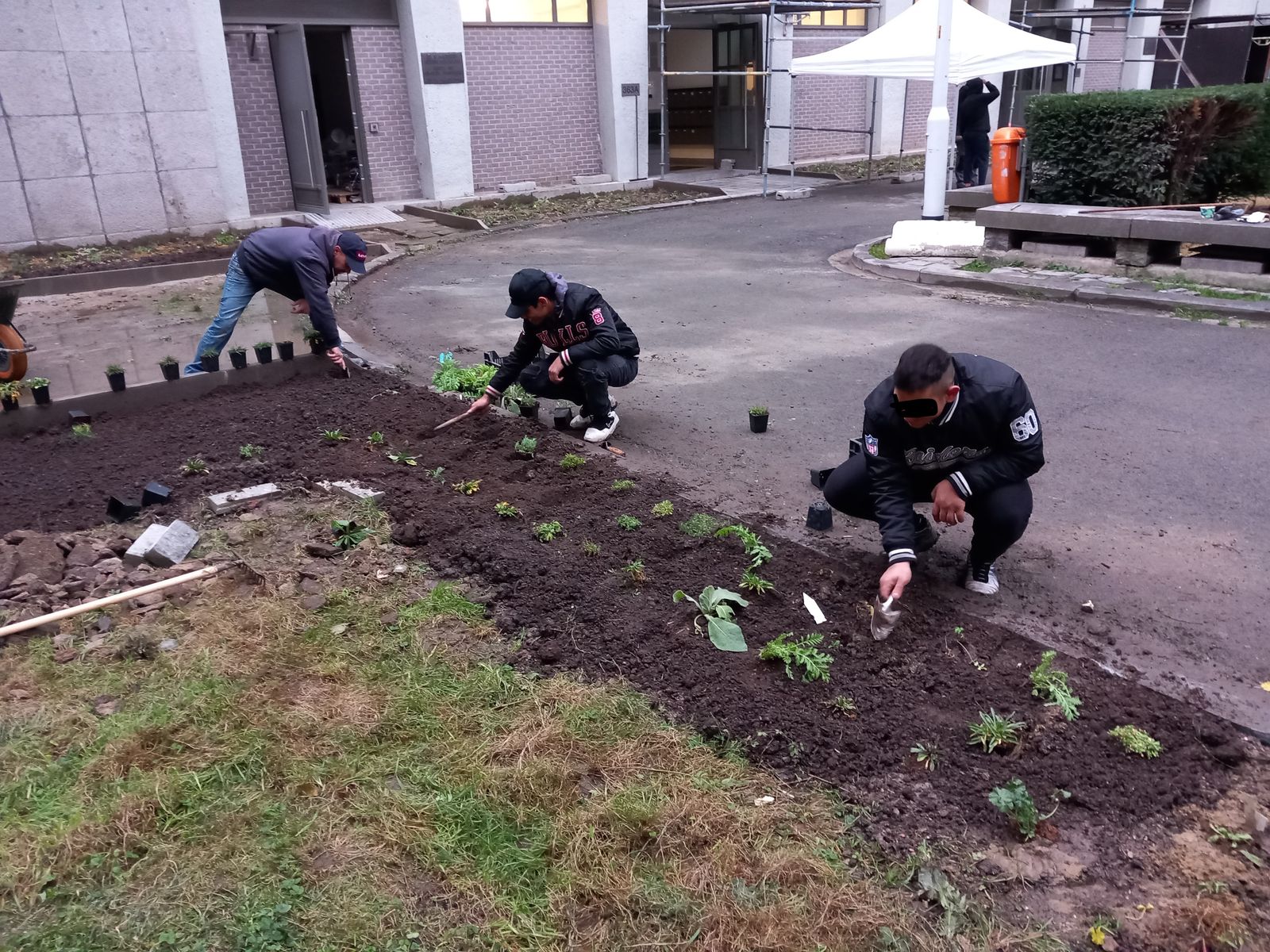 Plantations dans la cour d'une occupation rue Haute – Philanthropie